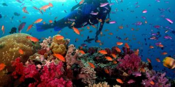 Το πρώτο καταδυτικό πάρκο στην Πελοπόννησο