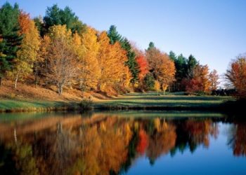 Επιπλέον κυρωμένοι δασικοί χάρτες στην Ελλάδα