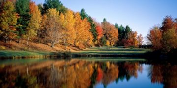 Επιπλέον κυρωμένοι δασικοί χάρτες στην Ελλάδα