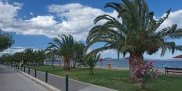 Ειδικό Χωρικό Σχέδιο