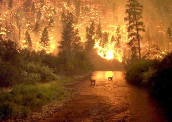 ΥΠΕΝ: Σχέδιο Δράσης ύψους 140.000.000 ευρώ