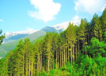 Δυνατότητα στον πολίτη να αιτείται την έγκριση της χρήσης έκτασης δάσους