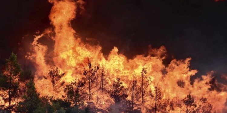 Υπογραφή εγκυκλίου συνεργασίας