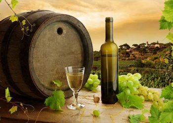 Απόφαση για τη στήριξη του οίνου ΠΟΠ «Ρομπόλα Κεφαλληνίας»