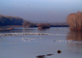 INTERREG FLOODGUARD 2014-2020