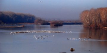 INTERREG FLOODGUARD 2014-2020