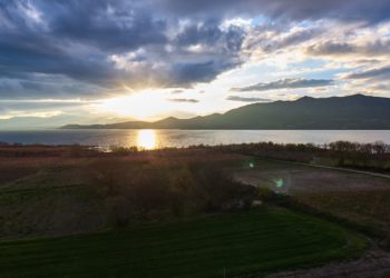 «Κλαρίσιο Ροδάκινο»