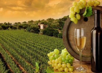 Πρόγραμμα ενίσχυσης επενδύσεων σε οινοποιεία για τα έτη 2020-2023