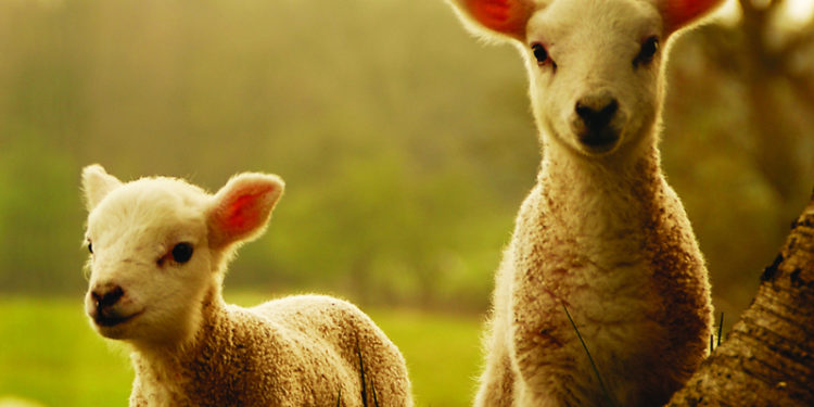 Χορήγηση έκτακτων κρατικών ενισχύσεων ήσσονος σημασίας (de minimis)