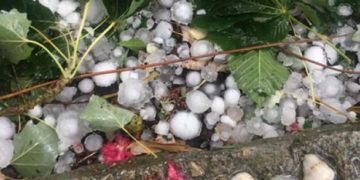 Άμεση η κινητοποίηση για την καταγραφή των ζημιών  σε καλλιέργειες από τα ακραία καιρικά φαινόμενα