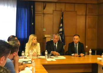 Φωτεινή Αραμπατζή: Στόχος μας  η στήριξη του εισοδήματος των Ελλήνων κτηνοτρόφων