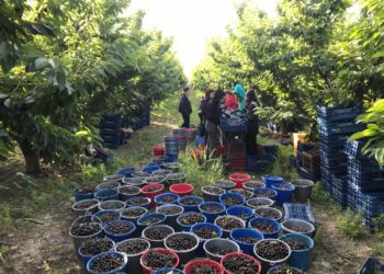 Οικογενειακές αγροτικές ιστορίες