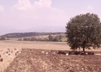 Πρωτομηνιά με καύσωνα