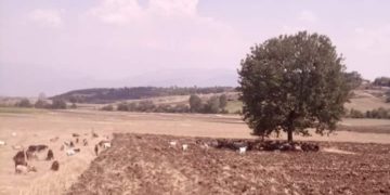 Πρωτομηνιά με καύσωνα