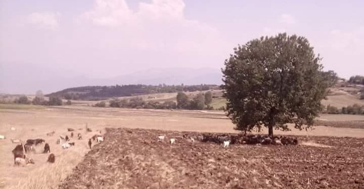 Πρωτομηνιά με καύσωνα