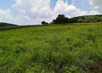 Όταν η φύση συναντά το μεράκι των ανθρώπων