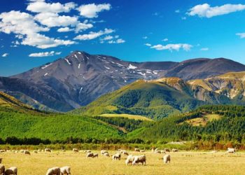 Πίστωση ενισχύσεων σε δικαιούχους για βιολογικές δράσεις  ζωικής παραγωγής