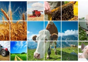 Εγγραφές στις ΕΠΑΣ του ΕΛΓΟ – ΔΗΜΗΤΡΑ