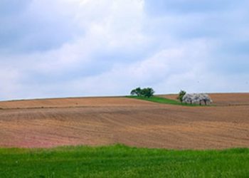 Έναρξη Εγγραφών στα σεμινάρια  του Ινστιτούτου  Γεωπονικών Επιστημών