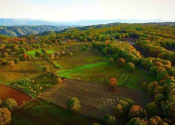 AgriBusiness Forum: «Το μέλλον του αγροδιατροφικού τομέα στην ψηφιακή εποχή»