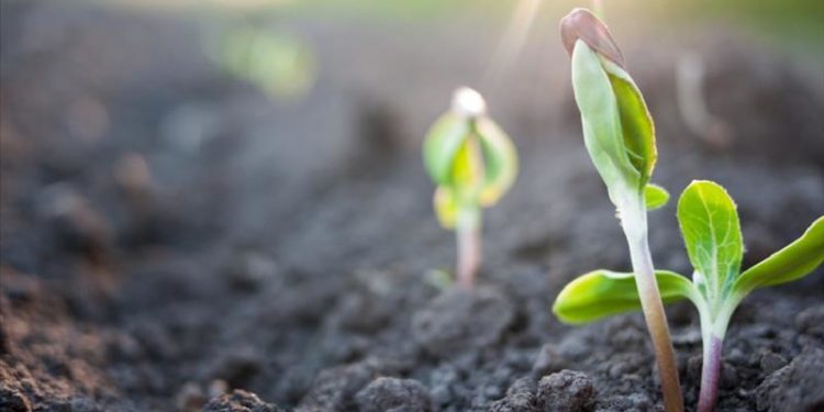Υπομέτρο 6.3: 70 εκατομμύρια ευρώ για 5.000 μικροκαλλιεργητές σε ολόκληρη τη χώρα