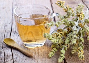 Σιδερίτης: Καλλιέργεια και ευεργετικές ιδιότητες