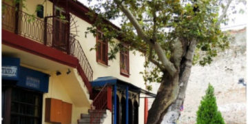 Ο πλάτανος ηλικίας 828 ετών στην Θεσσαλονίκη . Τα τέσσερα υπεραιωνόβια δέντρα!