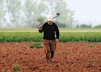 Συμψηφισμός των εργοσήμων των αγροτών με τις ασφαλιστικές εισφορές των αγροτών ασφαλισμένων με το άρθρο 40 του Ν. 4387/2016