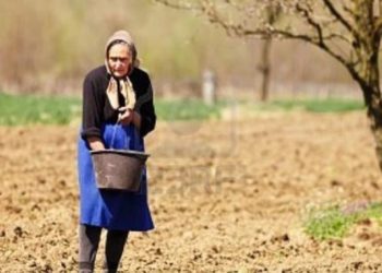 Διεθνής Ημέρα Αγρότισσας