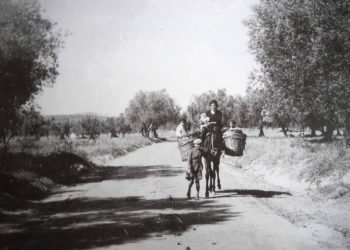 Διεθνής Ημέρα Αγρότισσας