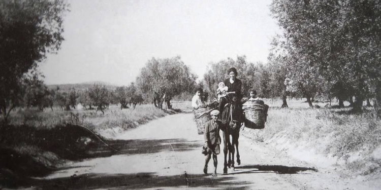 Διεθνής Ημέρα Αγρότισσας