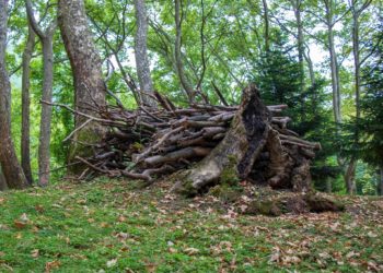 1η συνεδρίαση της Νομοπαρασκευαστικής Επιτροπής για την αντιμετώπιση θεμάτων που σχετίζονται με τους δασικούς χάρτες
