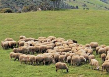 «Βαλς των χαμένων ονείρων»!!