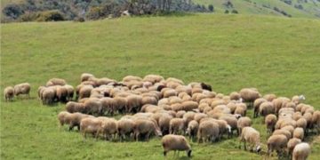 «Βαλς των χαμένων ονείρων»!!