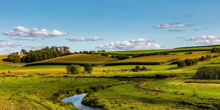 Λύση στην πληρωμή του προγράμματος νιτρορύπανσης με απόφαση Βορίδη