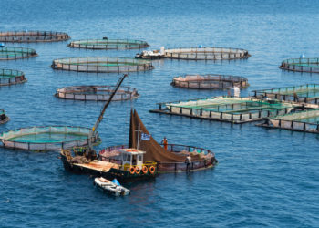 Επιπλέον 8 εκατομμύρια ευρώ από το ΥπΑΑΤ για επενδύσεις στην Υδατοκαλλιέργεια