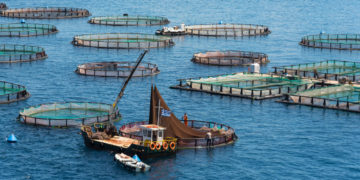 Επιπλέον 8 εκατομμύρια ευρώ από το ΥπΑΑΤ για επενδύσεις στην Υδατοκαλλιέργεια