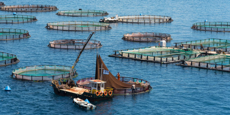 Επιπλέον 8 εκατομμύρια ευρώ από το ΥπΑΑΤ για επενδύσεις στην Υδατοκαλλιέργεια