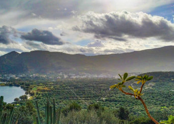 Πάνω από 1 δις € το συνολικό ποσό της Βασικής Ενίσχυσης αγροτών