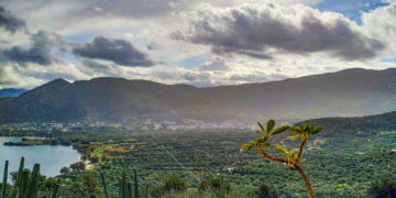 Πάνω από 1 δις € το συνολικό ποσό της Βασικής Ενίσχυσης αγροτών