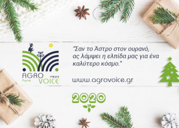 2020: Καλή Χρονιά!!!