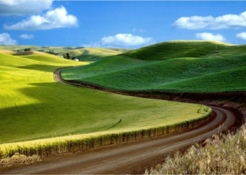 Δήλωση Σταύρου Αραχωβίτη για τις Διεπαγγελματικές Οργανώσεις