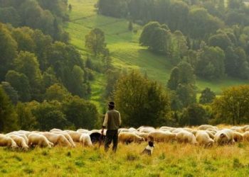 Όταν οι νέοι καινοτομούν!!