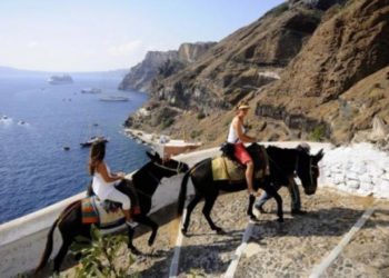 Μ. Βορίδης: Αυστηροί έλεγχοι και βαριά πρόστιμα για την κακομεταχείριση ζώων