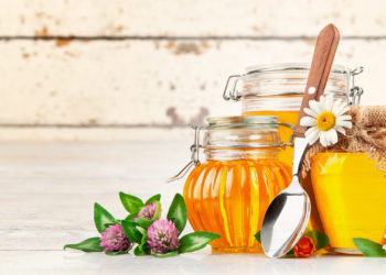 Άγιος Φιλάρετος – Ο προστάτης της μελισσοκομίας