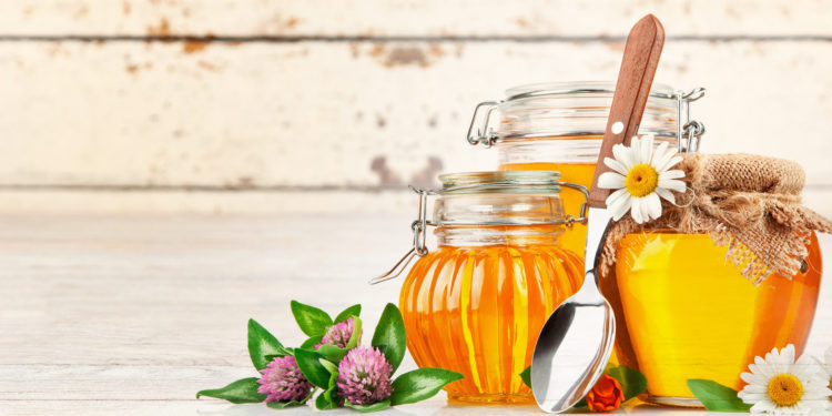 Άγιος Φιλάρετος – Ο προστάτης της μελισσοκομίας