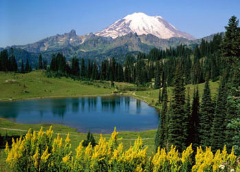 Εγκρίθηκε από την Ευρωπαϊκή Επιτροπή η 6η τροποποίηση του Προγράμματος Αγροτικής Ανάπτυξης (ΠΑΑ) 2014-2020)