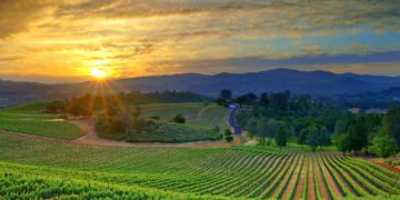 Υπομέτρο 3.1 «Στήριξη για νέες συμμετοχές σε συστήματα ποιότητας»