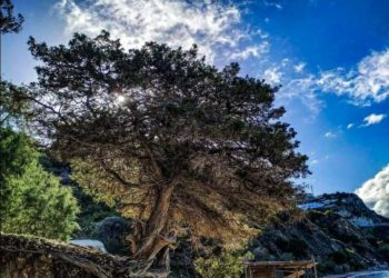 Ευρωπαϊκή Πράσινη Συμφωνία (EuGreenDeal )