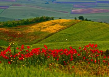 955 νέα Σχέδια Βελτίωσης στην Περιφέρεια  Θεσσαλίας